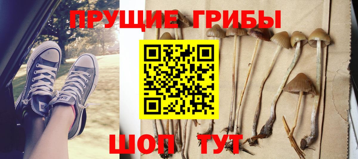 Невинномысск  где продают наркотики  Галлюциногенные грибы мицелий  Вход с VPN  Псилоцибиновые грибы ЛСД 